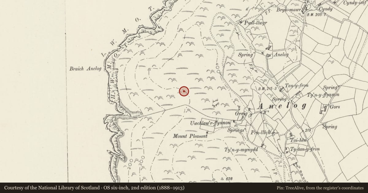 Ordnance Survey six-inch map, 2nd edition (1888–1913) covering the location of Hut Circle Settlement North-West of Mount Pleasant, Aberdaron, Gwynedd, with a pin at the register's coordinates