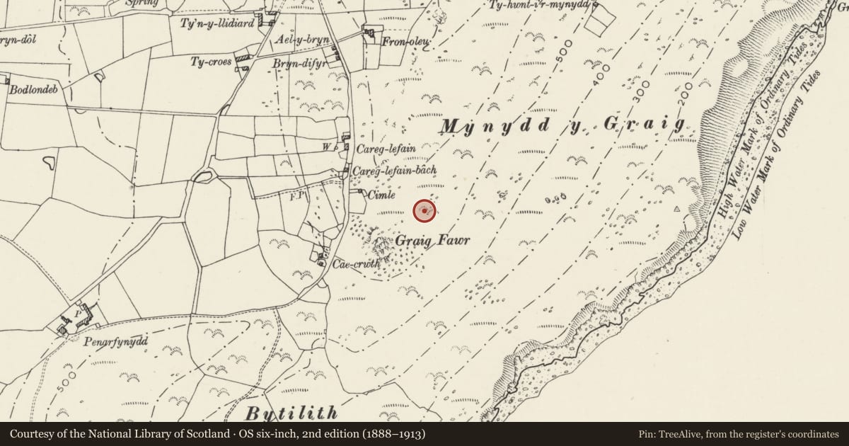 Ordnance Survey six-inch map, 2nd edition (1888–1913) covering the location of Hut Circle at Mynydd-y-Graig, Aberdaron, Gwynedd, with a pin at the register's coordinates