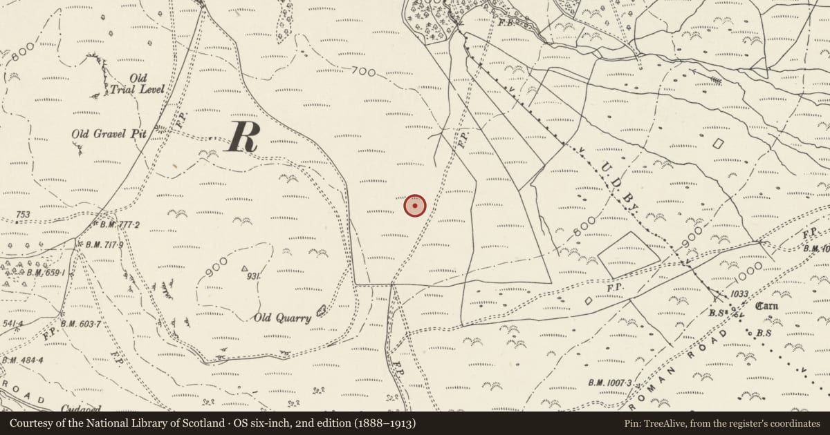 Ordnance Survey six-inch map, 2nd edition (1888–1913) covering the location of Enclosed Hut Circle Settlement South-East of Bod Silin, Aber, Gwynedd, with a pin at the register's coordinates