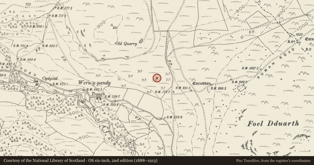 Ordnance Survey six-inch map, 2nd edition (1888–1913) covering the location of Hut Circle and Rectangular Hut North of Wern Y Pandy, Aber, Gwynedd, with a pin at the register's coordinates
