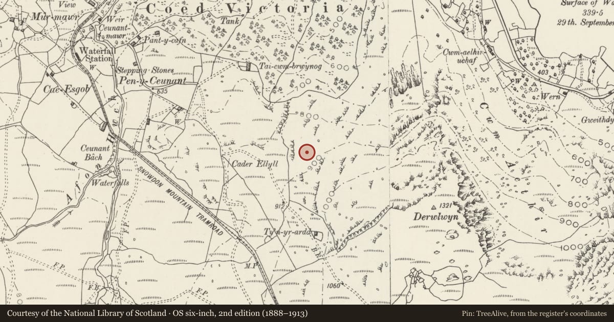 Ordnance Survey six-inch map, 2nd edition (1888–1913) covering the location of Hut Circle Settlement and Rectangular Hut North of Hebron Station, Llanberis, Gwynedd, with a pin at the register's coordinates