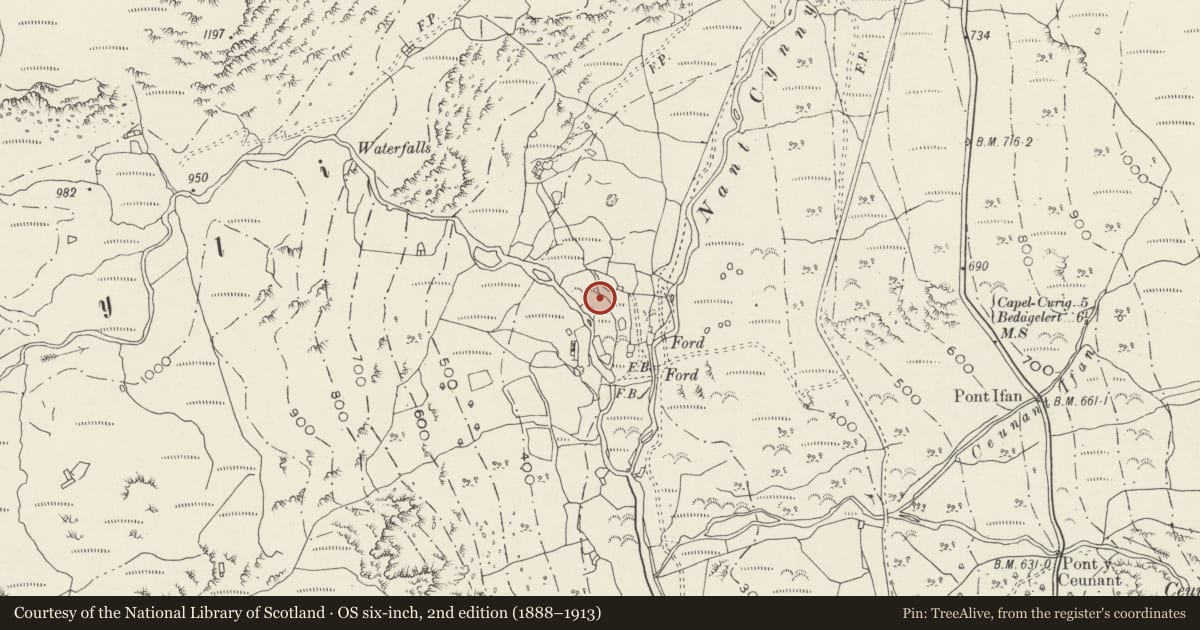 Ordnance Survey six-inch map, 2nd edition (1888–1913) covering the location of Hut Circle Settlement North of Cwm Dyli Power Station, Beddgelert, Gwynedd, with a pin at the register's coordinates