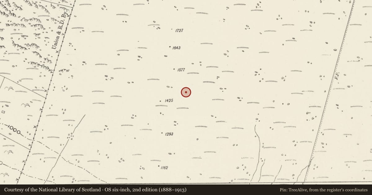 Ordnance Survey six-inch map, 2nd edition (1888–1913) covering the location of Hut Settlement at Mynydd Graig Goch, Central, Dolbenmaen, Gwynedd, with a pin at the register's coordinates