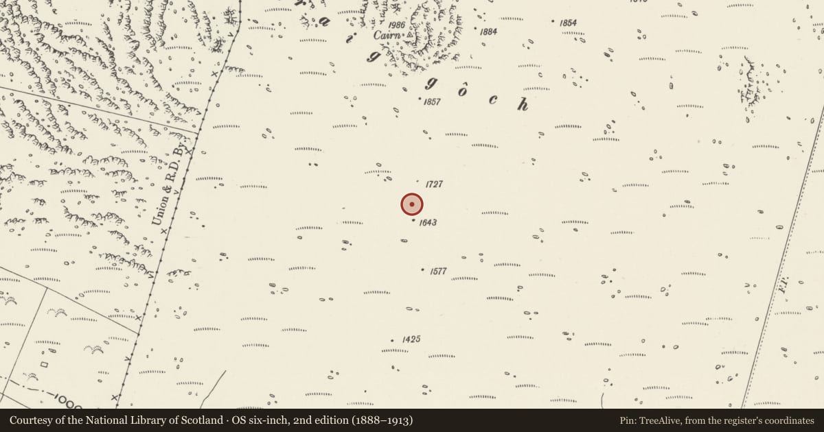 Ordnance Survey six-inch map, 2nd edition (1888–1913) covering the location of Hut Settlement at Mynydd Graig Goch, North, Dolbenmaen, Gwynedd, with a pin at the register's coordinates