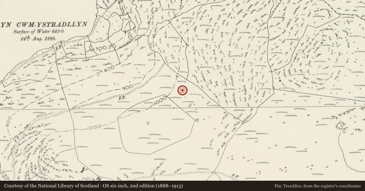 Ordnance Survey six-inch map, 2nd edition (1888–1913) covering the location of Hut Circle and Rectangular Hut at Clogwyn y Gath, Dolbenmaen, Gwynedd, with a pin at the register's coordinates