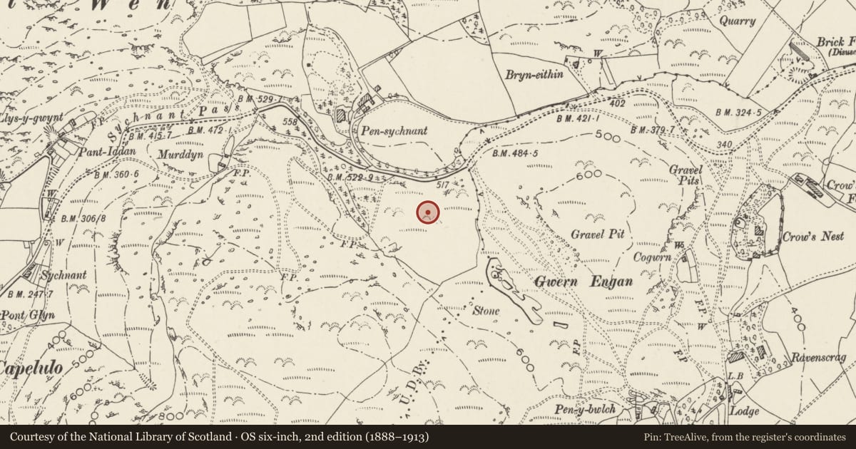 Ordnance Survey six-inch map, 2nd edition (1888–1913) covering the location of Gwern Engan Concentric Enclosed Hut Circle, Penmaenmawr, Conwy, with a pin at the register's coordinates