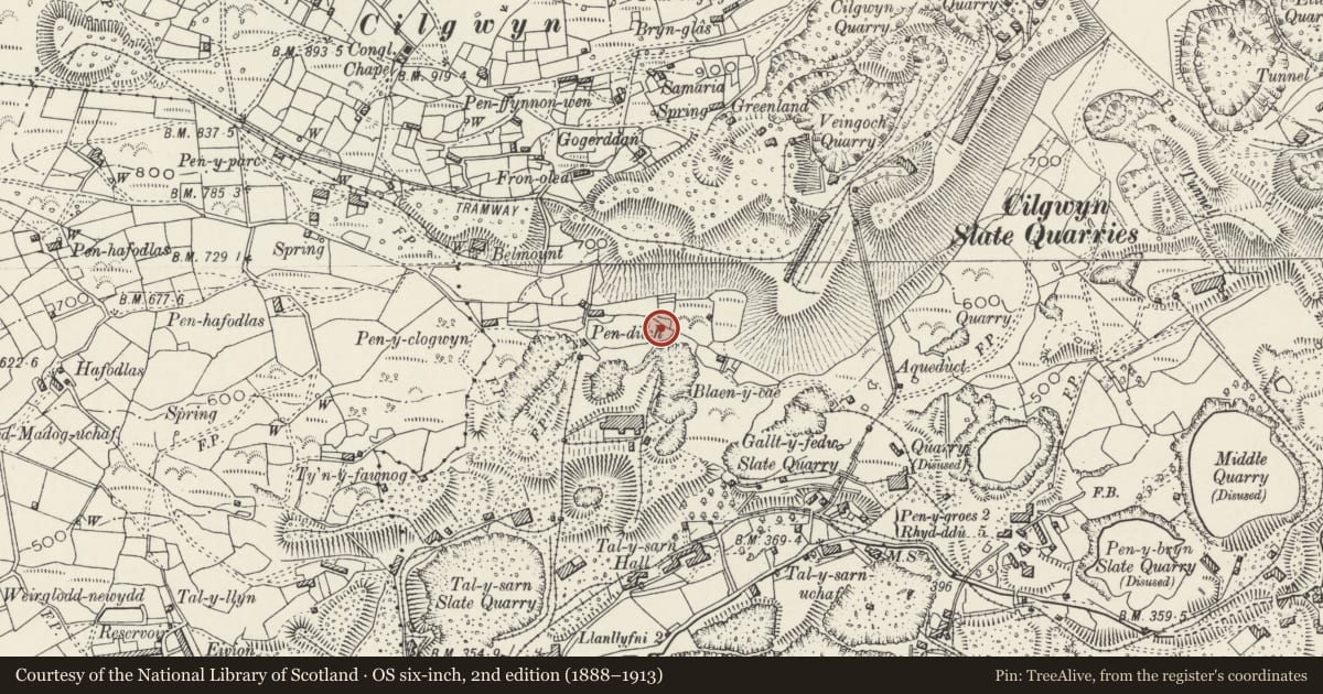 Ordnance Survey six-inch map, 2nd edition (1888–1913) covering the location of Blaen y Cae Slate Quarry, Llanllyfni, Gwynedd, with a pin at the register's coordinates