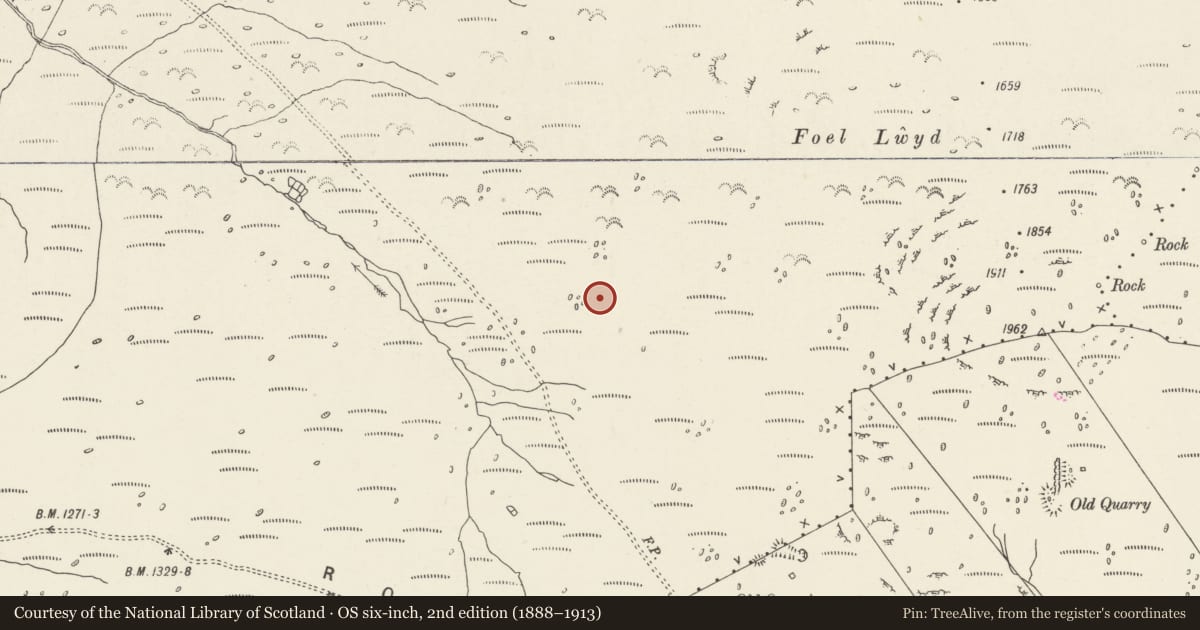 Ordnance Survey six-inch map, 2nd edition (1888–1913) covering the location of Hut Circles West of Foel Llwyd, Llanfairfechan, Conwy, with a pin at the register's coordinates