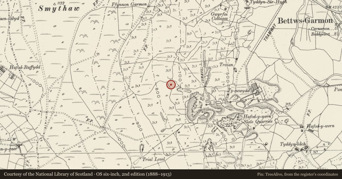 Ordnance Survey six-inch map, 2nd edition (1888–1913) covering the location of Hafod-y-Wern Long Hut, Betws Garmon, Gwynedd, with a pin at the register's coordinates