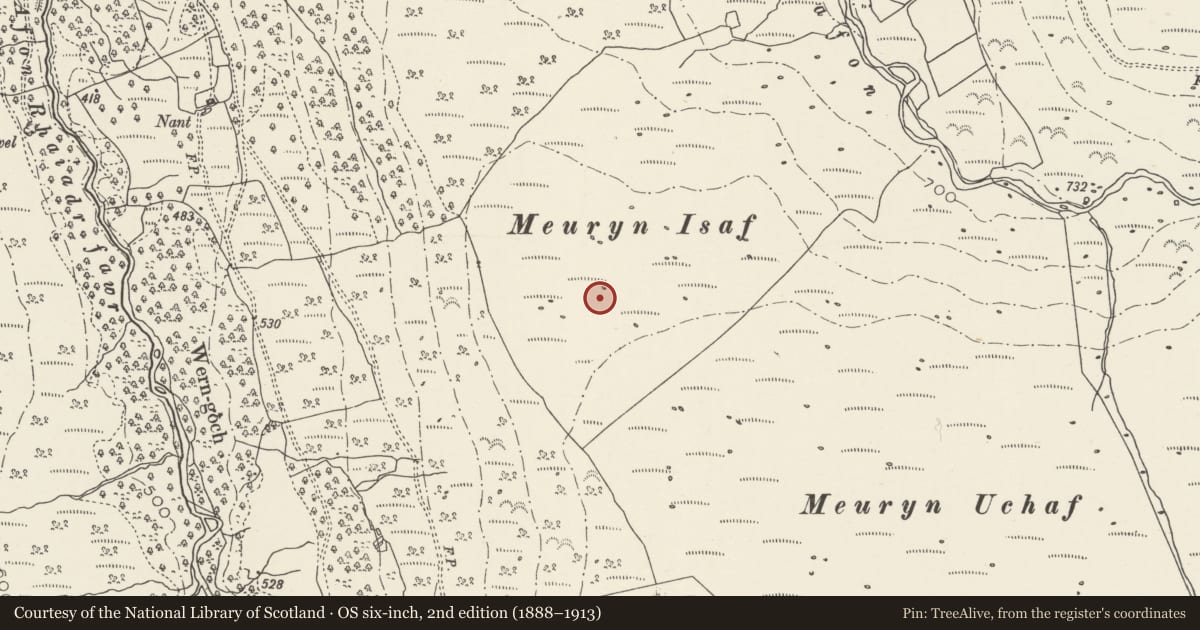 Ordnance Survey six-inch map, 2nd edition (1888–1913) covering the location of Meuryn Isaf Cairn, Aber, Gwynedd, with a pin at the register's coordinates