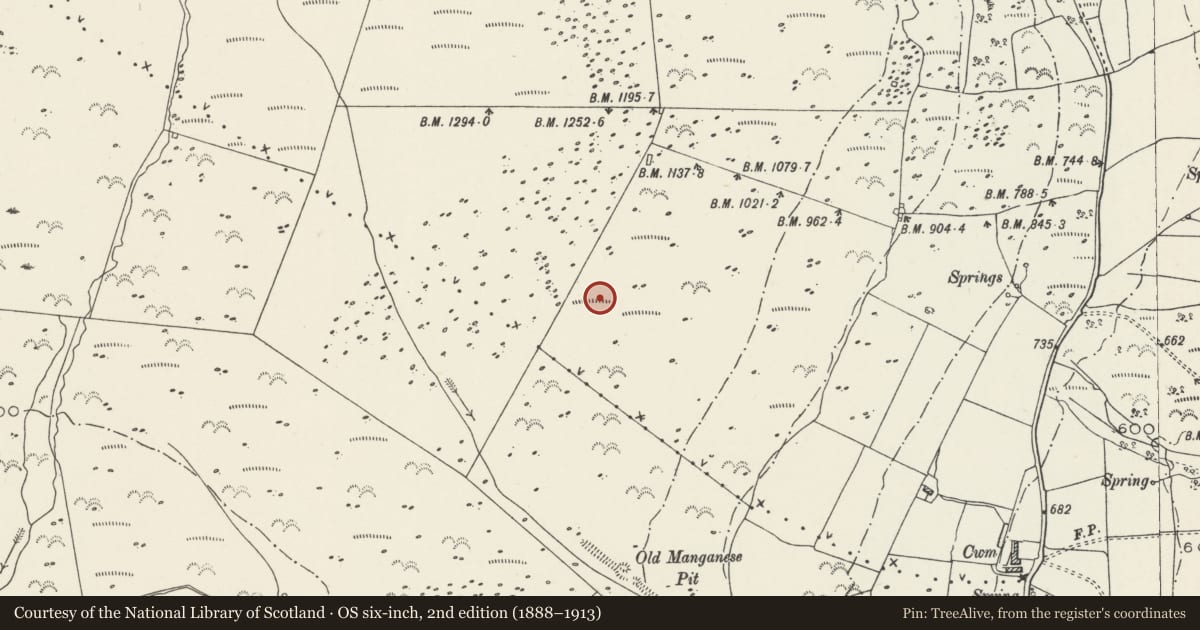 Ordnance Survey six-inch map, 2nd edition (1888–1913) covering the location of Hut Circle Settlement West of Cwm Farm, Clynnog, Gwynedd, with a pin at the register's coordinates