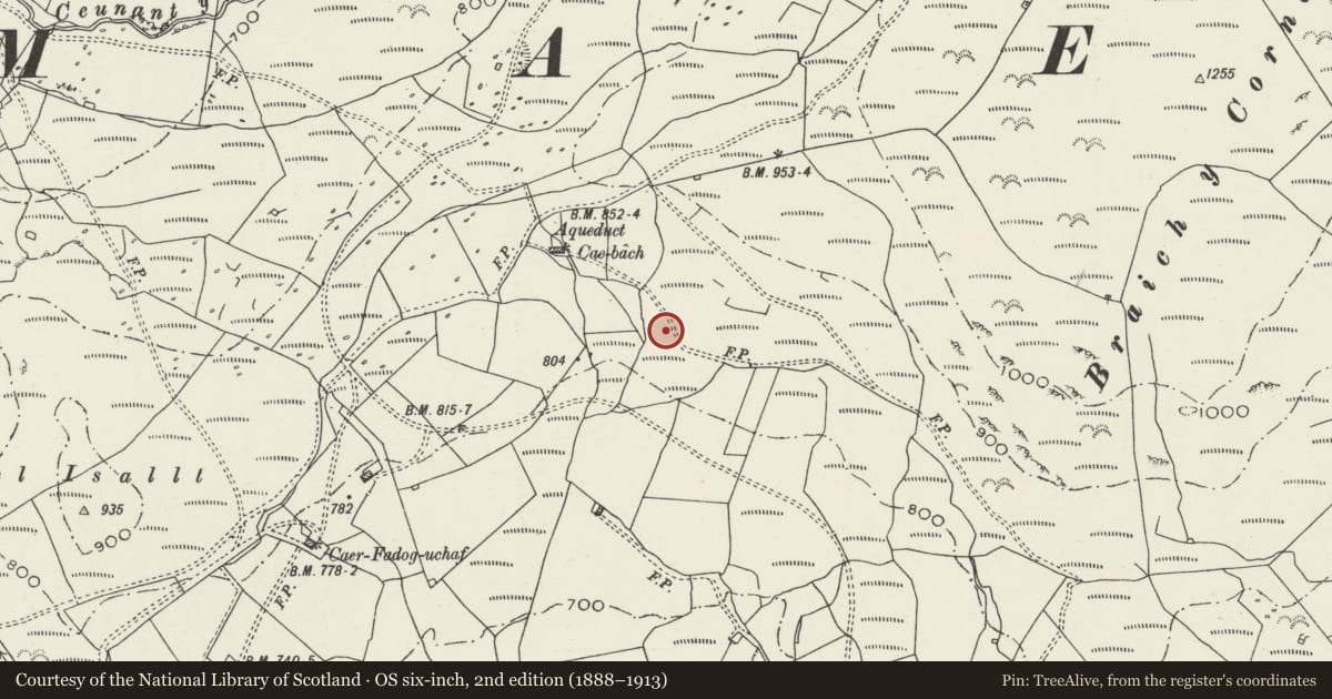 Ordnance Survey six-inch map, 2nd edition (1888–1913) covering the location of Cae-Bach Hut Circle Settlement, Dolbenmaen, Gwynedd, with a pin at the register's coordinates
