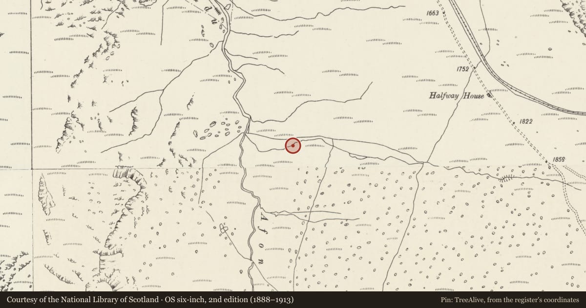 Ordnance Survey six-inch map, 2nd edition (1888–1913) covering the location of Cwm Brwynog Deserted Rural Settlement, Llanberis, Gwynedd, with a pin at the register's coordinates