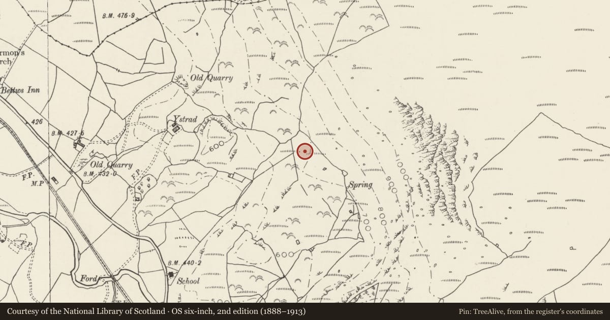 Ordnance Survey six-inch map, 2nd edition (1888–1913) covering the location of Ystrad Rural Settlement, Betws Garmon, Gwynedd, with a pin at the register's coordinates