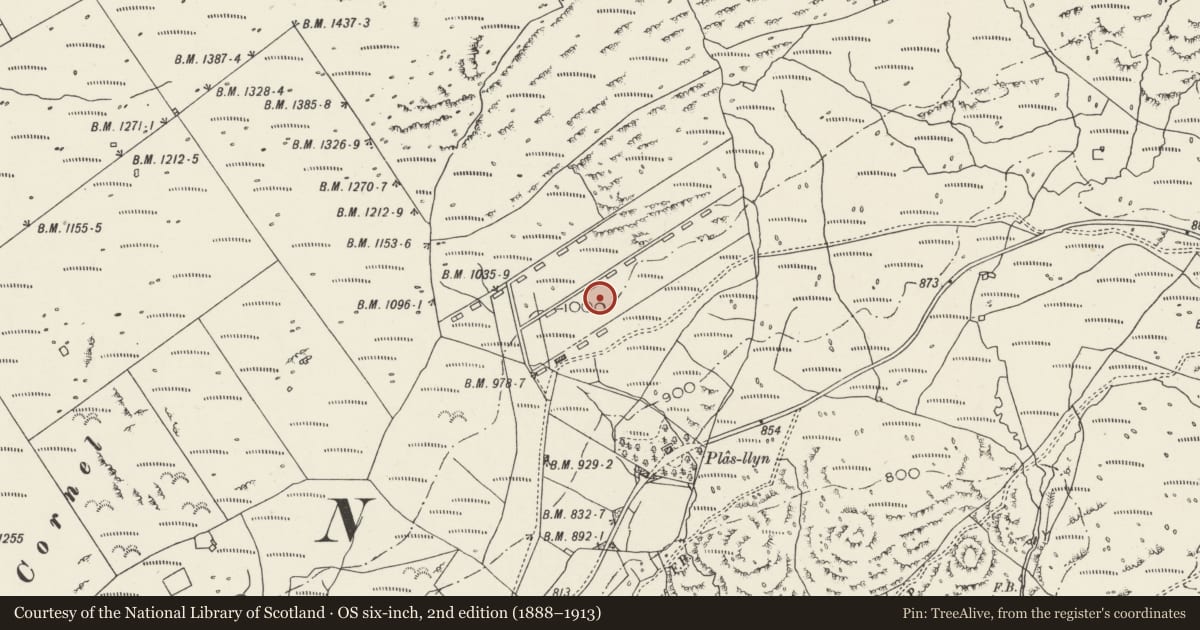 Ordnance Survey six-inch map, 2nd edition (1888–1913) covering the location of Treforys Deserted Quarry Settlement, Dolbenmaen, Gwynedd, with a pin at the register's coordinates
