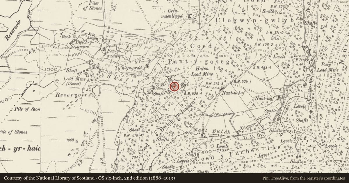Ordnance Survey six-inch map, 2nd edition (1888–1913) covering the location of Hafna Lead Mine Mill, Trefriw, Conwy, with a pin at the register's coordinates