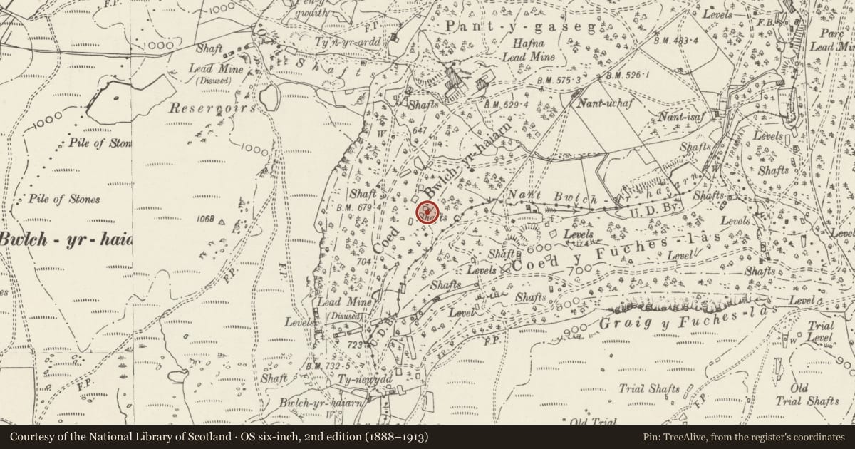 Ordnance Survey six-inch map, 2nd edition (1888–1913) covering the location of Vale of Conwy Lead Mine, Trefriw, Conwy, with a pin at the register's coordinates