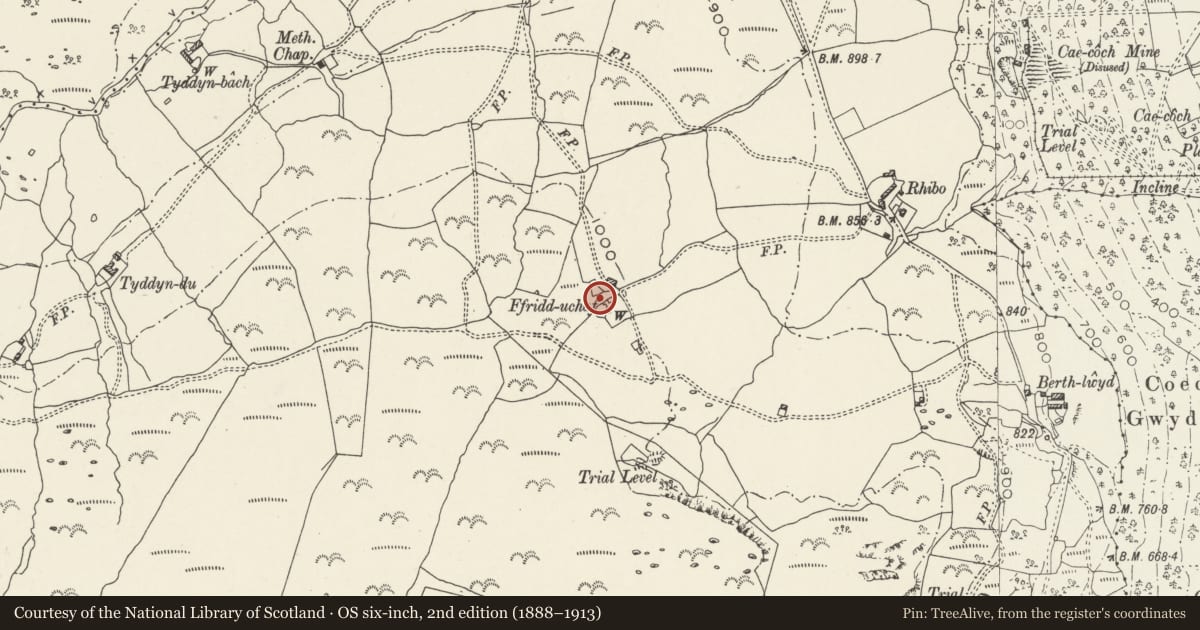 Ordnance Survey six-inch map, 2nd edition (1888–1913) covering the location of Ffridd Uchaf Deserted Rural Settlement, Trefriw, Conwy, with a pin at the register's coordinates