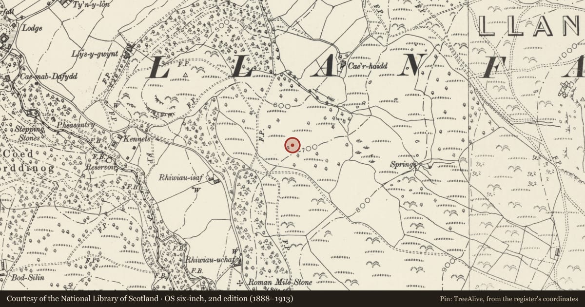 Ordnance Survey six-inch map, 2nd edition (1888–1913) covering the location of Cae'r Haidd Deserted Rural Settlement, Llanfairfechan, Conwy, with a pin at the register's coordinates