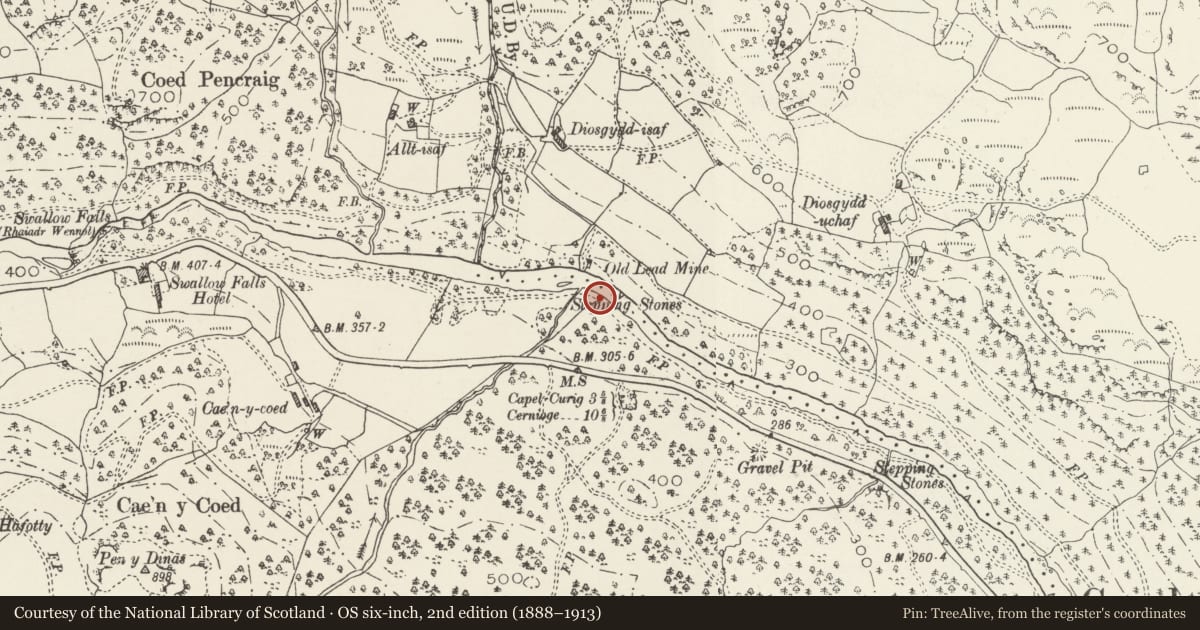 Ordnance Survey six-inch map, 2nd edition (1888–1913) covering the location of Afon Llugwy Lead Mill, Betws-y-Coed, Conwy, with a pin at the register's coordinates