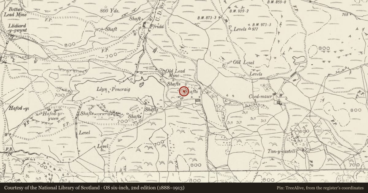 Ordnance Survey six-inch map, 2nd edition (1888–1913) covering the location of Coed Mawr Pool Lead Mine, Betws-y-Coed, Conwy, with a pin at the register's coordinates
