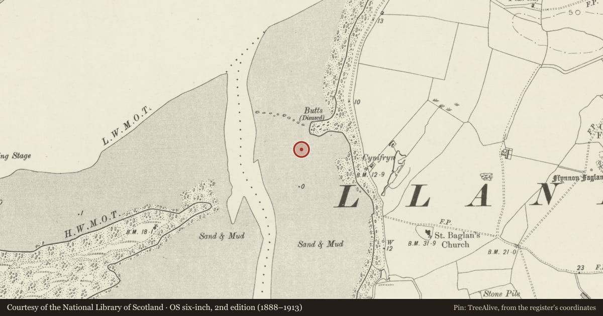 Ordnance Survey six-inch map, 2nd edition (1888–1913) covering the location of Cored Gwyrfai Fish Weir, Bontnewydd, Gwynedd, with a pin at the register's coordinates