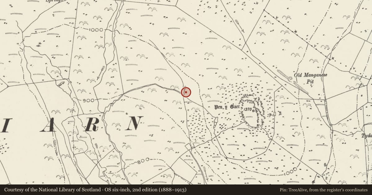 Ordnance Survey six-inch map, 2nd edition (1888–1913) covering the location of Burnt Mound East of Pen-y-Gaer, Llanaelhaearn, Gwynedd, with a pin at the register's coordinates