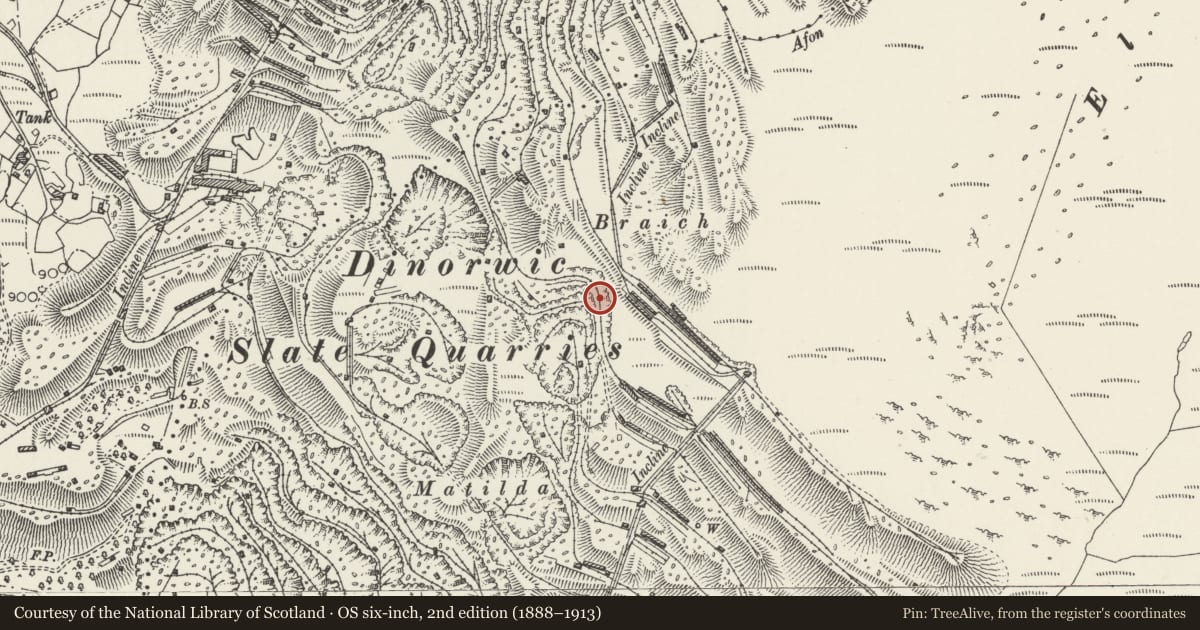 Ordnance Survey six-inch map, 2nd edition (1888–1913) covering the location of Dinorwic Quarry, Llanddeiniolen, Gwynedd, with a pin at the register's coordinates