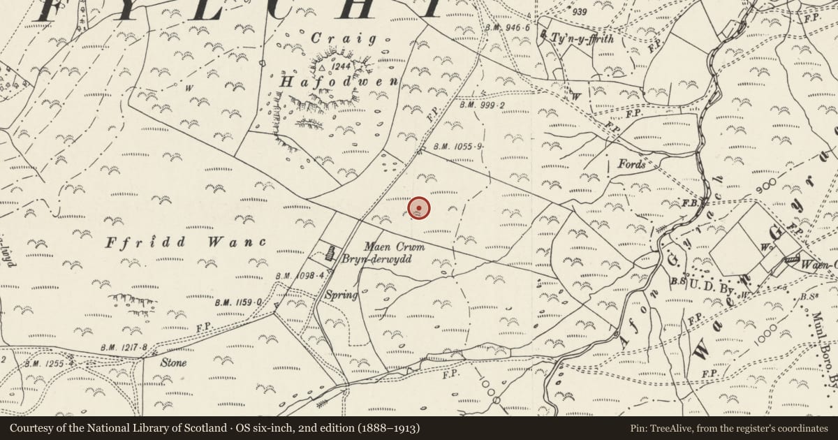Ordnance Survey six-inch map, 2nd edition (1888–1913) covering the location of Bryn Derwydd stone circle, Penmaenmawr, Conwy, with a pin at the register's coordinates