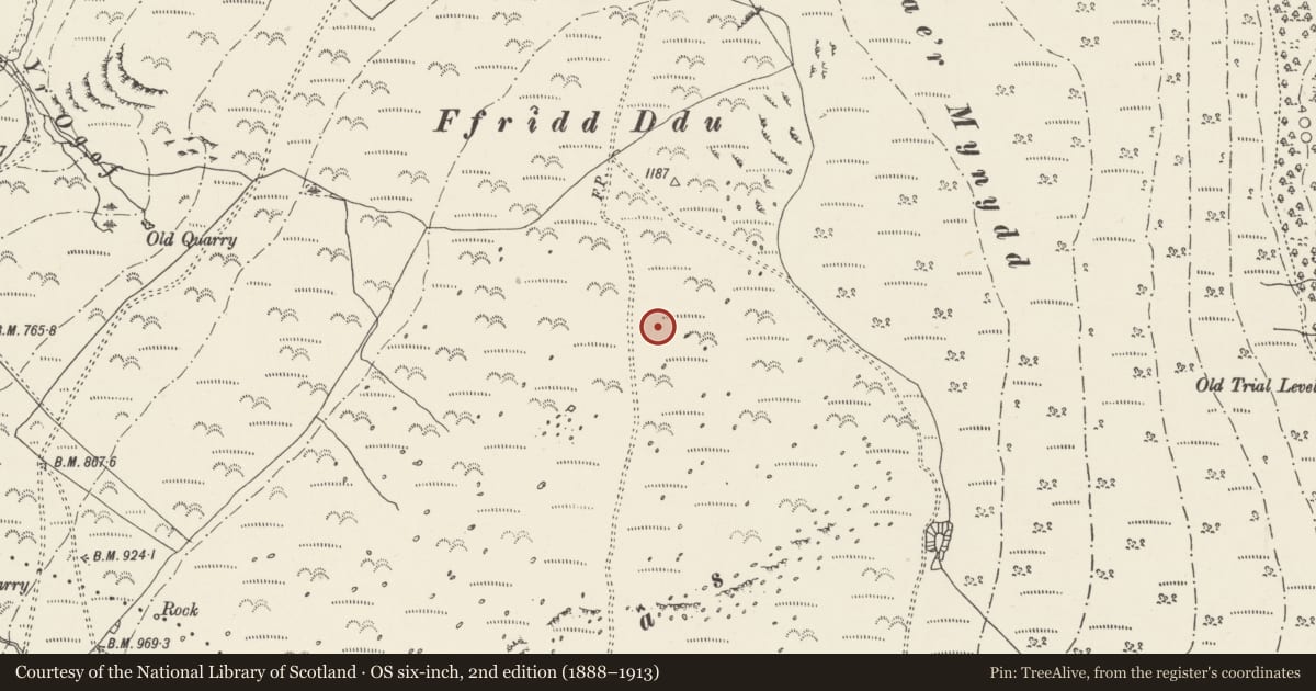 Ordnance Survey six-inch map, 2nd edition (1888–1913) covering the location of Ring Cairn, Aber, Gwynedd, with a pin at the register's coordinates