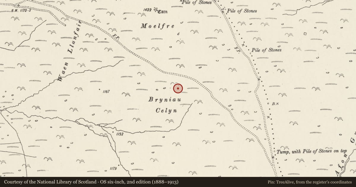 Ordnance Survey six-inch map, 2nd edition (1888–1913) covering the location of Bryniau Bugeilydd cairns, Llanfairfechan, Conwy, with a pin at the register's coordinates