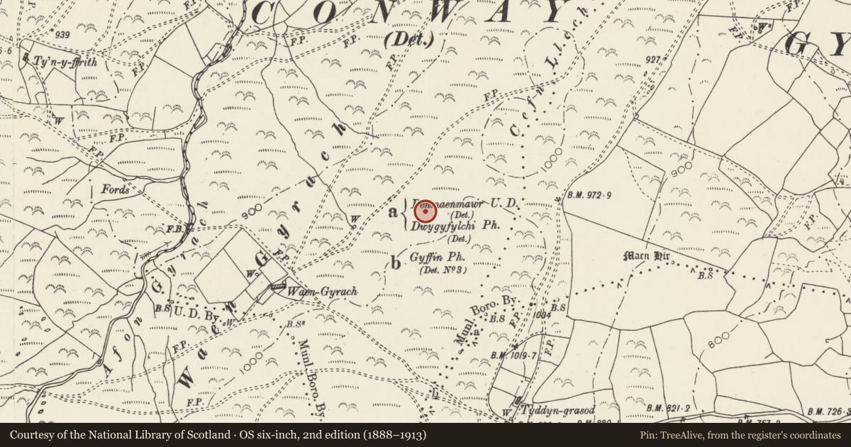 Ordnance Survey six-inch map, 2nd edition (1888–1913) covering the location of Cefn Llechen cairns, Henryd, Conwy, with a pin at the register's coordinates