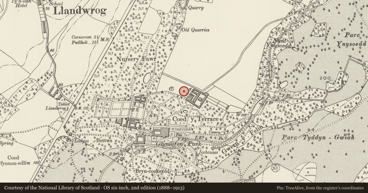 Ordnance Survey six-inch map, 2nd edition (1888–1913) covering the location of Glynllifon standing stone, Llandwrog, Gwynedd, with a pin at the register's coordinates