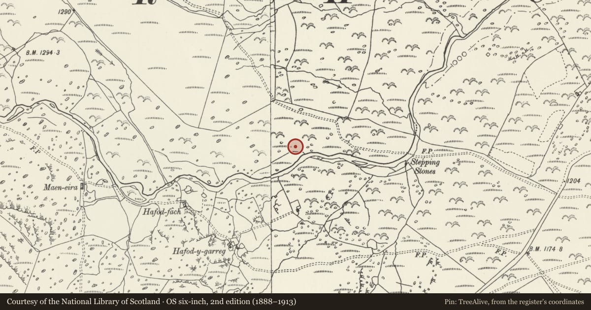 Ordnance Survey six-inch map, 2nd edition (1888–1913) covering the location of Afon Dulyn ring cairn, Caerhun, Conwy, with a pin at the register's coordinates