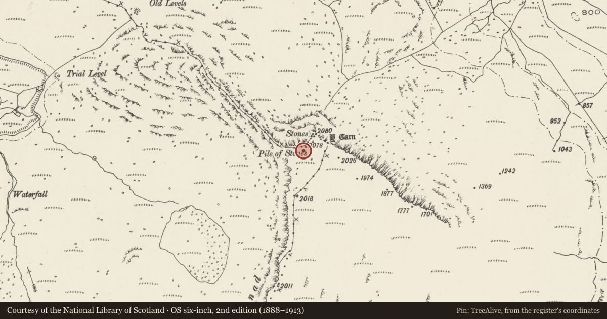 Ordnance Survey six-inch map, 2nd edition (1888–1913) covering the location of Y Garn cairns, Betws Garmon, Gwynedd, with a pin at the register's coordinates
