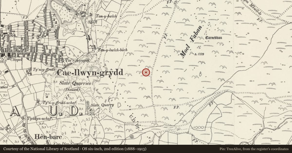 Ordnance Survey six-inch map, 2nd edition (1888–1913) covering the location of Moel Faban cairn cemetery, Llanllechid, Gwynedd, with a pin at the register's coordinates
