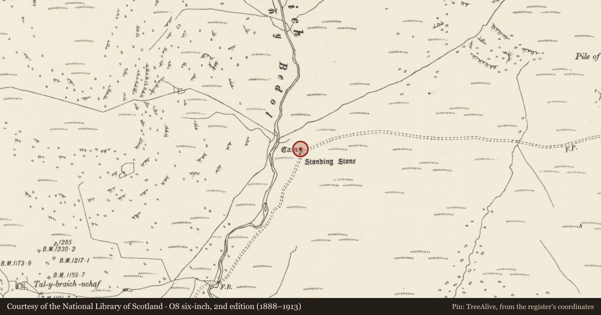 Ordnance Survey six-inch map, 2nd edition (1888–1913) covering the location of Afon Bedol cairn and standing stone, Capel Curig, Conwy, with a pin at the register's coordinates