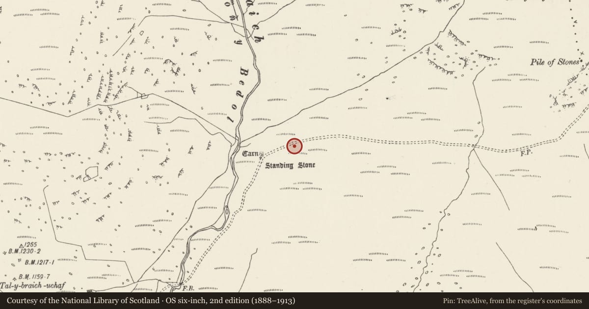 Ordnance Survey six-inch map, 2nd edition (1888–1913) covering the location of Afon Bedol cist, Capel Curig, Conwy, with a pin at the register's coordinates