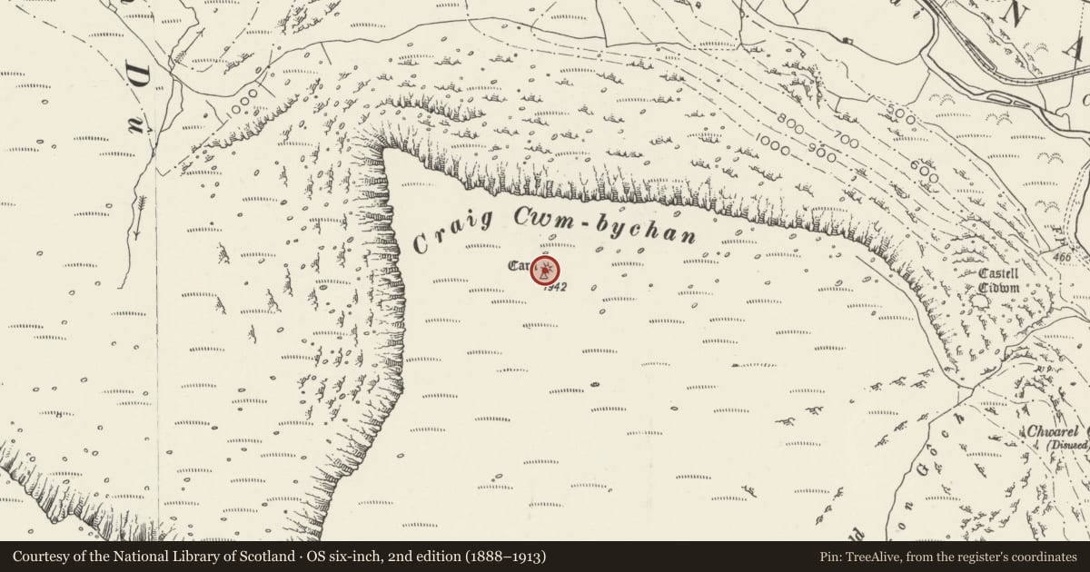 Ordnance Survey six-inch map, 2nd edition (1888–1913) covering the location of Craig Cwmbychan cairn, Betws Garmon, Gwynedd, with a pin at the register's coordinates