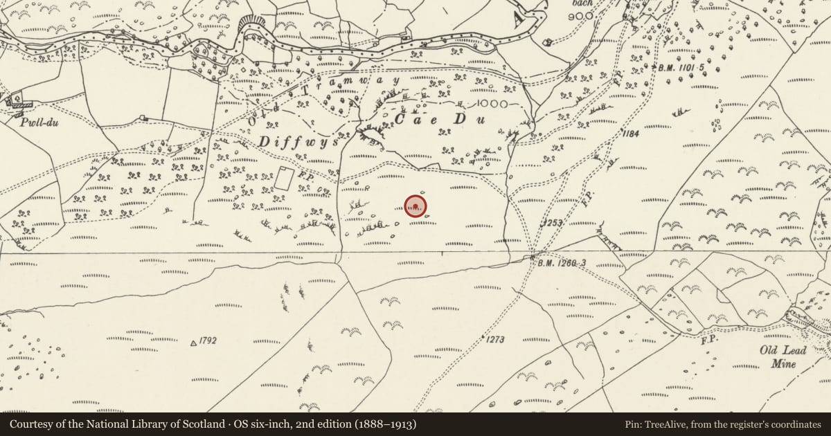 Ordnance Survey six-inch map, 2nd edition (1888–1913) covering the location of Cae Du platform cairn, Dolgarrog, Conwy, with a pin at the register's coordinates