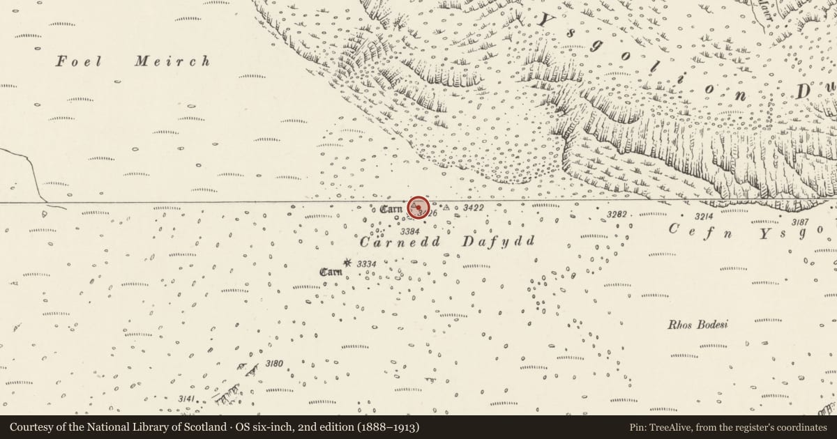 Ordnance Survey six-inch map, 2nd edition (1888–1913) covering the location of Carnedd Dafydd cairn, Llanllechid, Gwynedd, with a pin at the register's coordinates