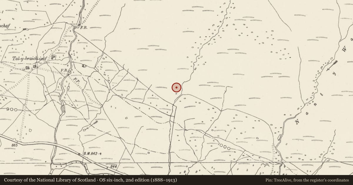 Ordnance Survey six-inch map, 2nd edition (1888–1913) covering the location of Nant y Benglog cairn, Capel Curig, Conwy, with a pin at the register's coordinates
