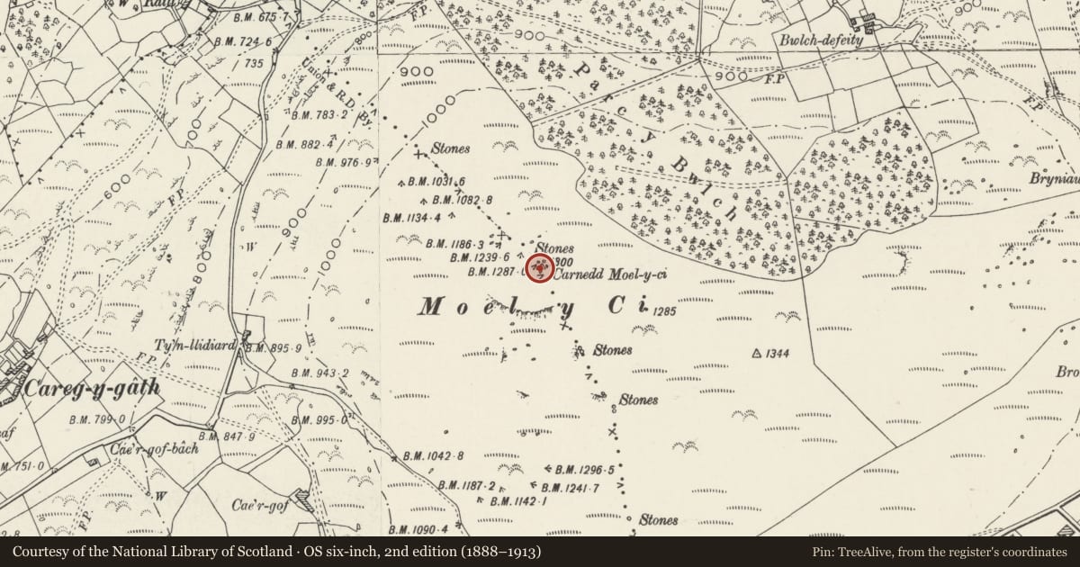Ordnance Survey six-inch map, 2nd edition (1888–1913) covering the location of Moel y Ci cairn, Llandygai, Gwynedd, with a pin at the register's coordinates