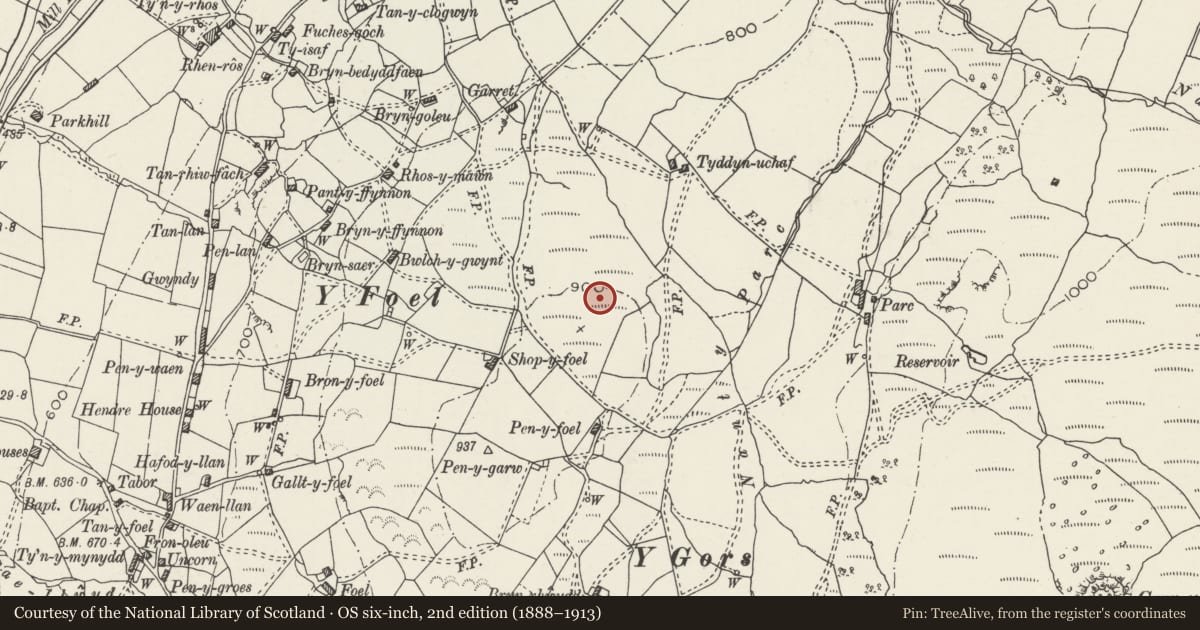 Ordnance Survey six-inch map, 2nd edition (1888–1913) covering the location of Y Foel Cairns, Bro Machno, Conwy, with a pin at the register's coordinates