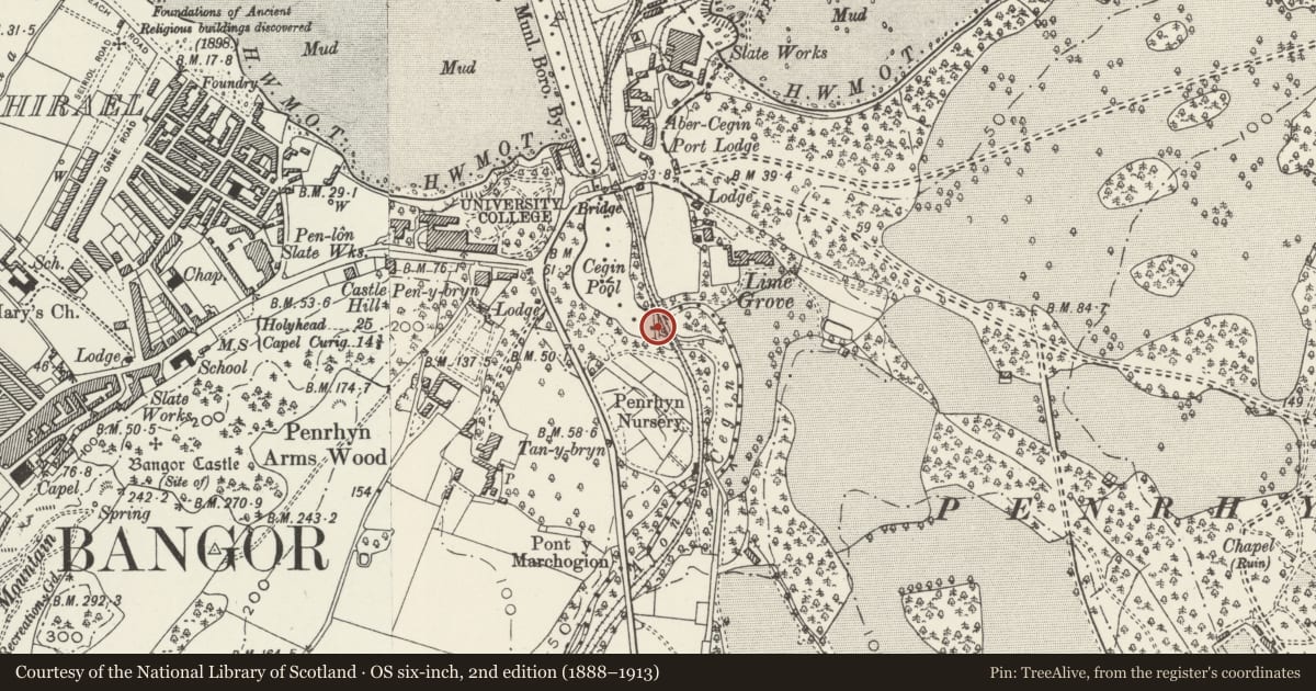 Ordnance Survey six-inch map, 2nd edition (1888–1913) covering the location of Cegin Viaduct (Penrhyn Railroad), Llandygai, Gwynedd, with a pin at the register's coordinates