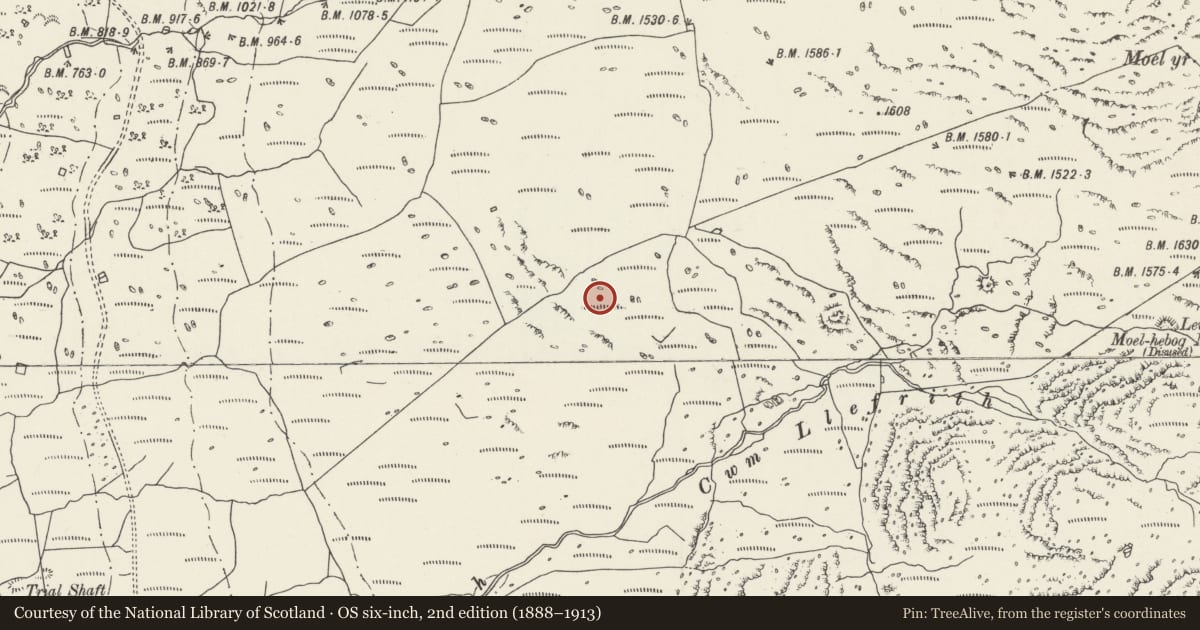 Ordnance Survey six-inch map, 2nd edition (1888–1913) covering the location of Cwm Llefrith cairn, Dolbenmaen, Gwynedd, with a pin at the register's coordinates
