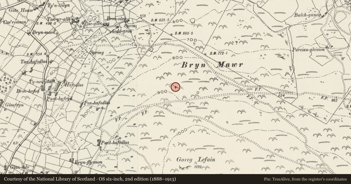 Ordnance Survey six-inch map, 2nd edition (1888–1913) covering the location of Carreg Lefain Cairn, Llanrug, Gwynedd, with a pin at the register's coordinates