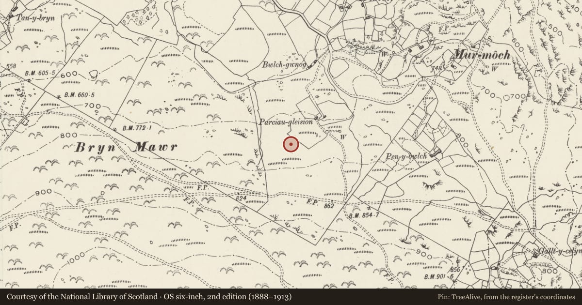 Ordnance Survey six-inch map, 2nd edition (1888–1913) covering the location of Parc y Gleision Standing Stone, Llanrug, Gwynedd, with a pin at the register's coordinates