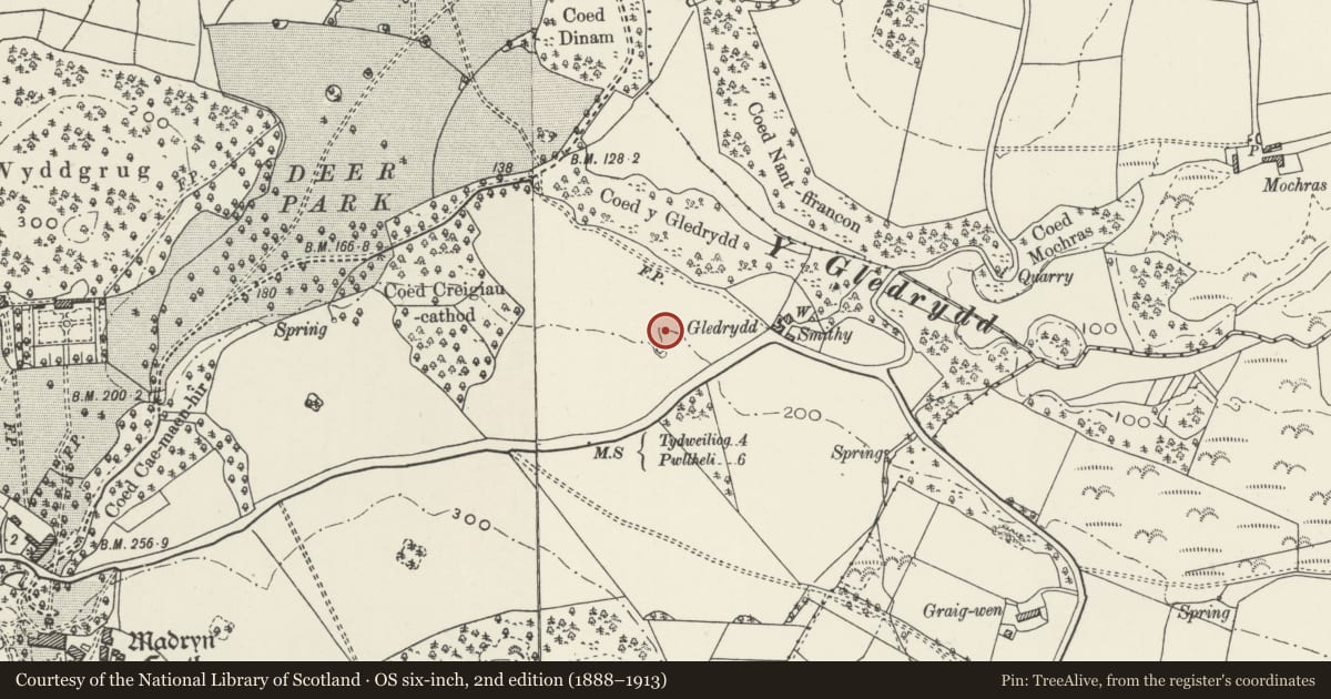Ordnance Survey six-inch map, 2nd edition (1888–1913) covering the location of Nant y Gledrydd Standing Stone, Tudweiliog, Gwynedd, with a pin at the register's coordinates