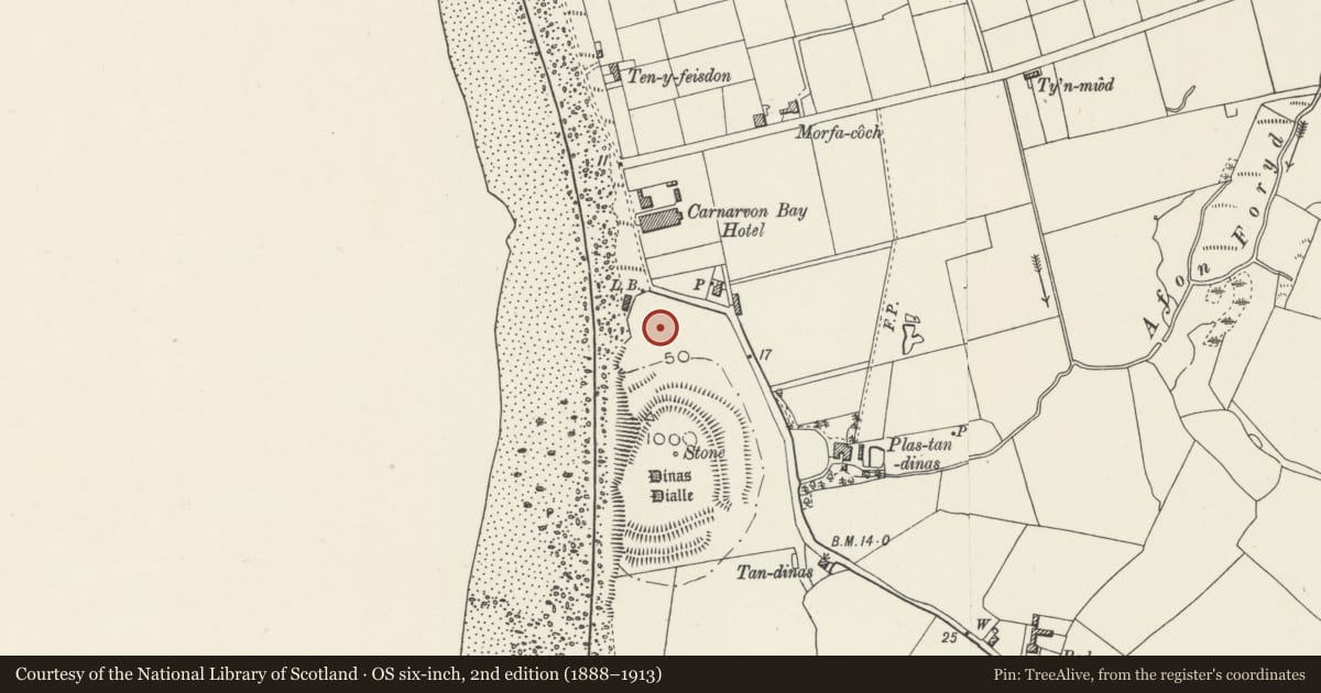 Ordnance Survey six-inch map, 2nd edition (1888–1913) covering the location of Dinas Dinlle Seagull Trench, Llandwrog, Gwynedd, with a pin at the register's coordinates